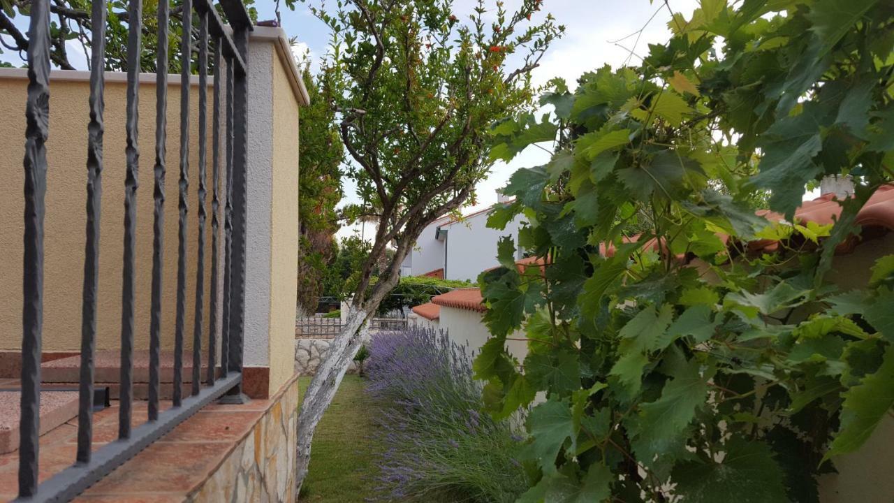 Holiday House Lavanda Vrsi Esterno foto